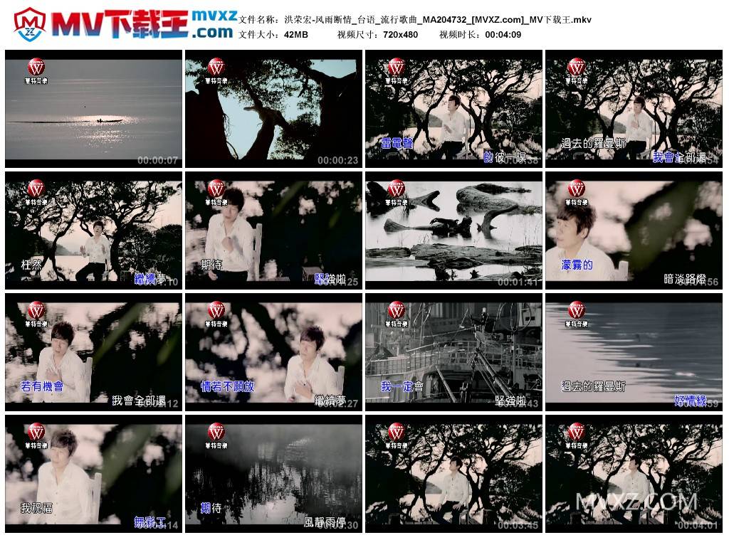 洪荣宏-风雨断情_台语_流行歌曲_MA204732